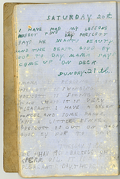 /artifacts/views/diary_laura.jpg