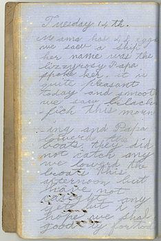 /artifacts/views/diary_laura.jpg