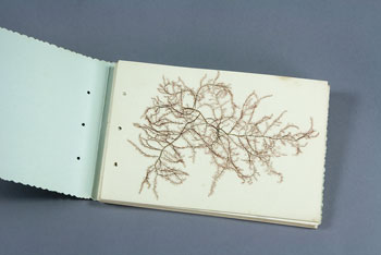 /artifacts/views/lj_moss_book.jpg